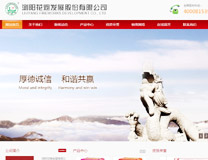 瀏陽花炮發展股份有限公司